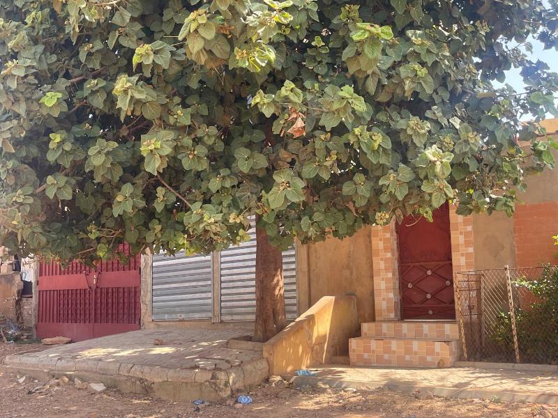 Furnished studio in Ouagadougou - image 8