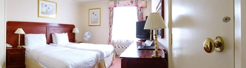 Classic Twin Room image 2