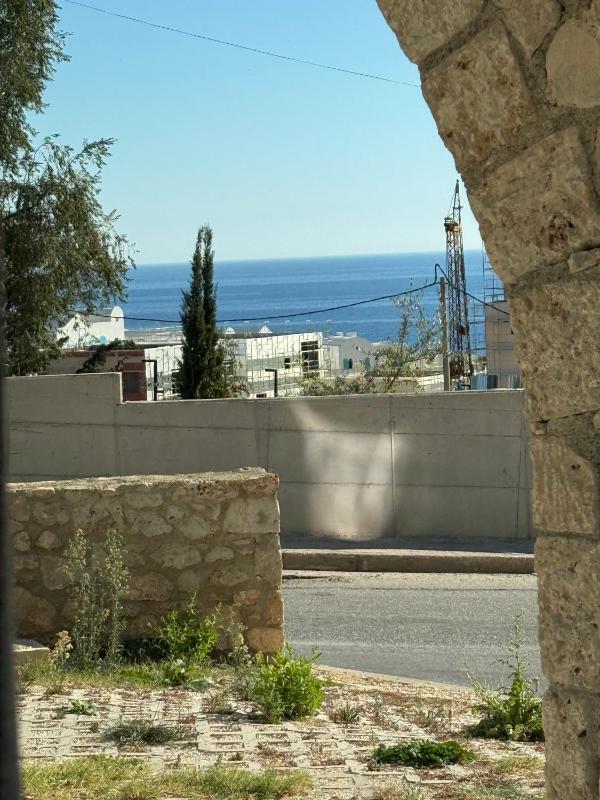 Vaya - image 7
