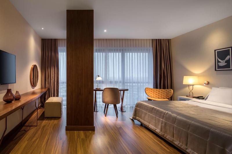 Executive King Room with Bath image 4