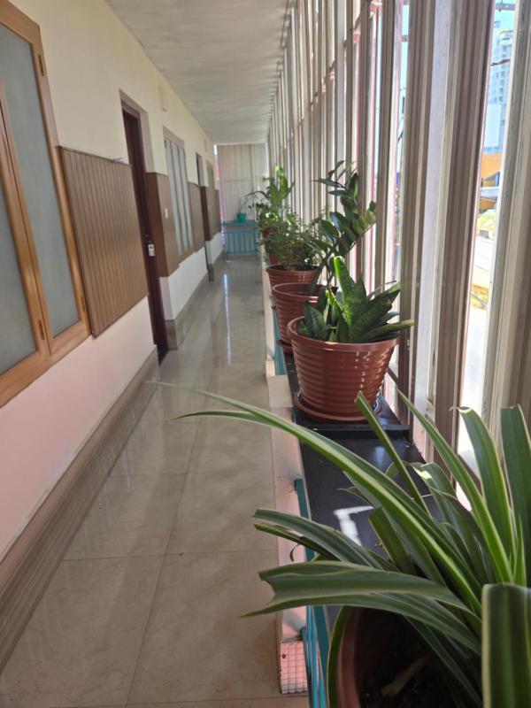 Sreedarshana Wellness Retreat - image 5