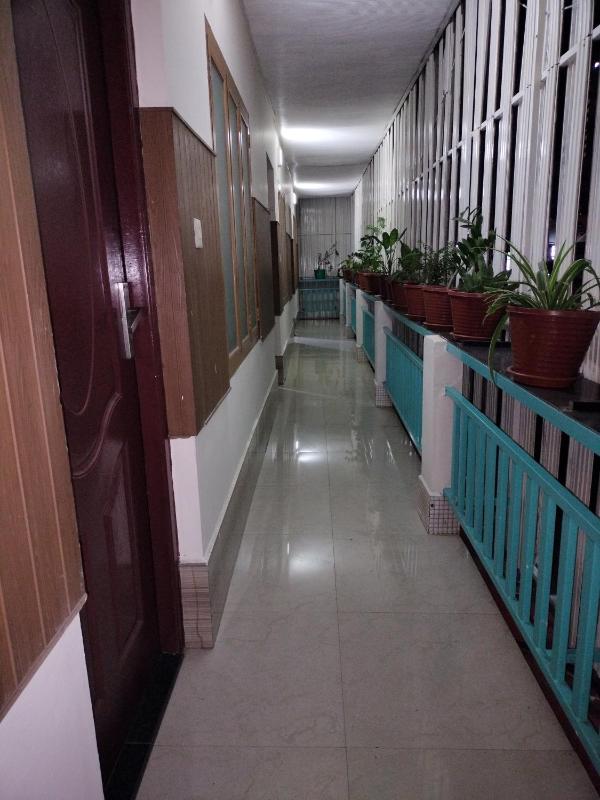 Sreedarshana Wellness Retreat - image 2