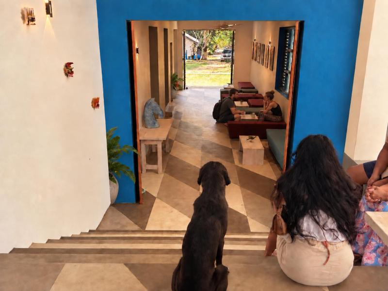 234 Weligama - image 9