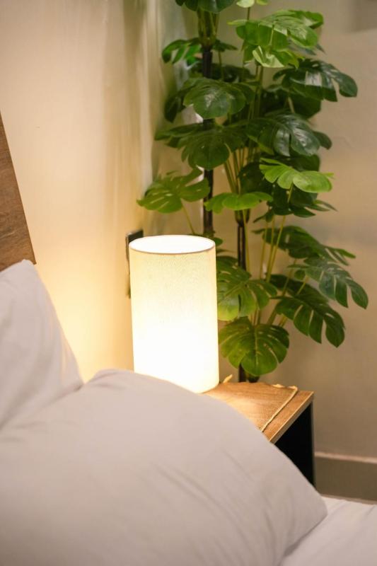 The Beige Oasis - image 11