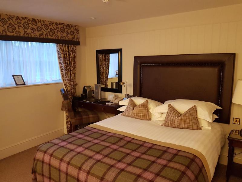 Deluxe Suite image 4