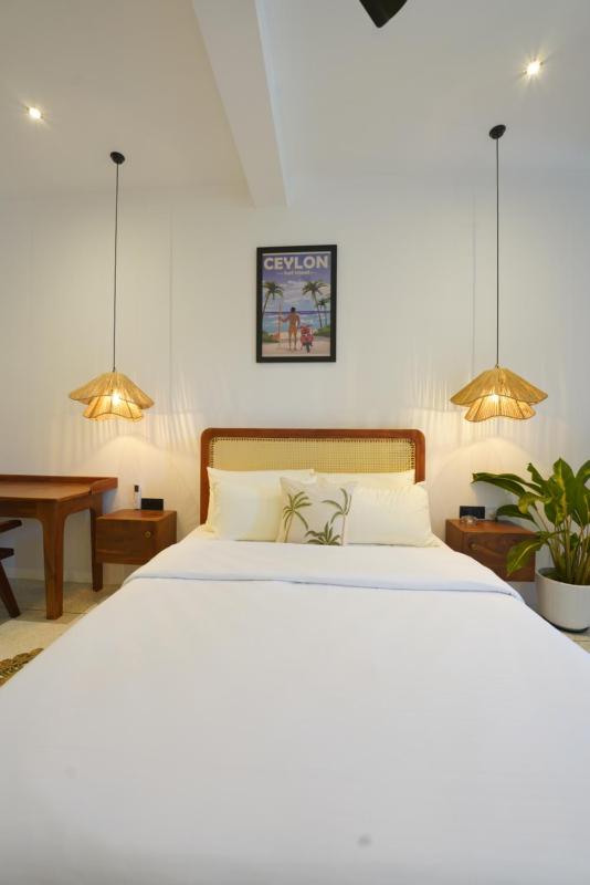 Kyno Weligama - image 16