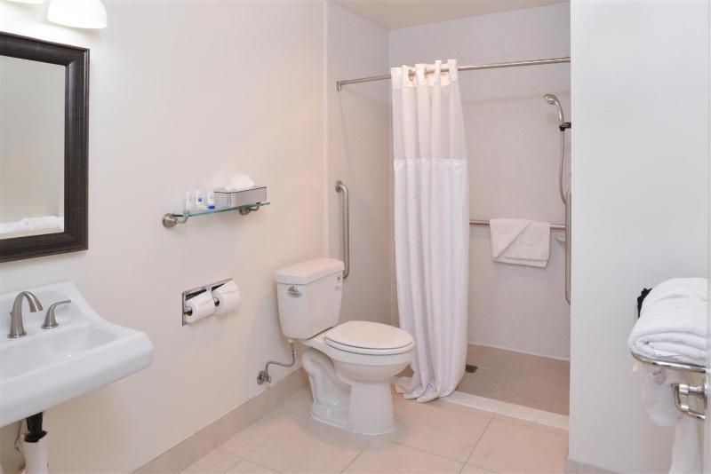 King Room with Roll-In Shower - Disability Access image 3