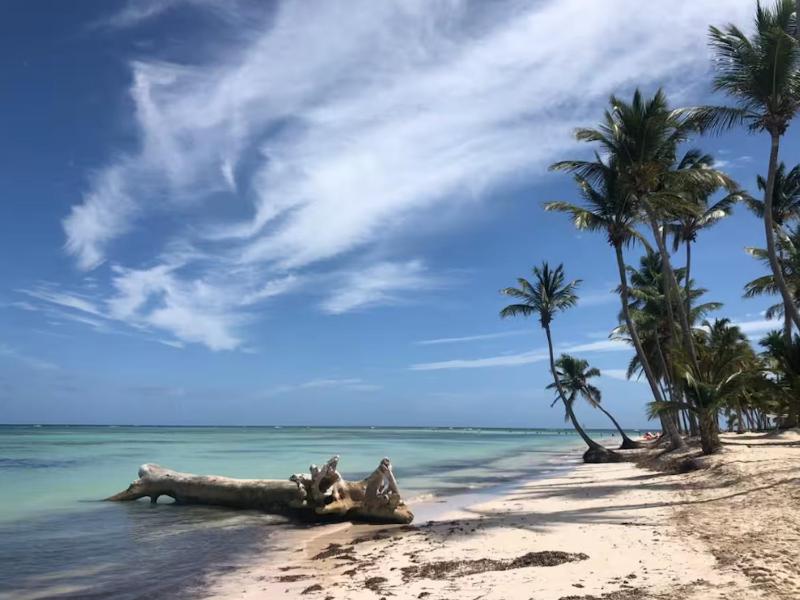 SOL CARIBE DREAMS at LOS CORALES BEACH - image 40