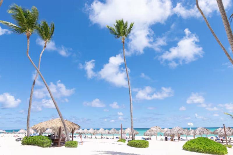 SOL CARIBE DREAMS at LOS CORALES BEACH - image 34