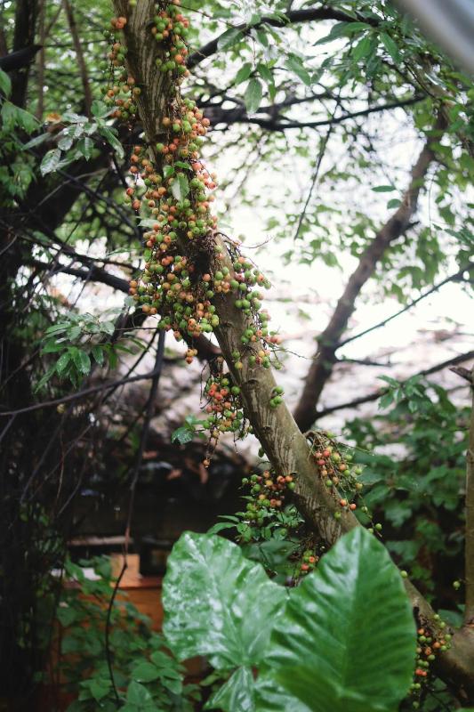 O Day Nha Minh - image 6