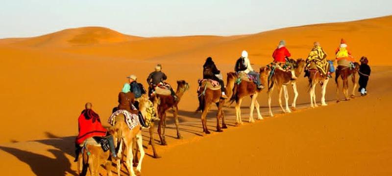Moha Desert Camp - image 38