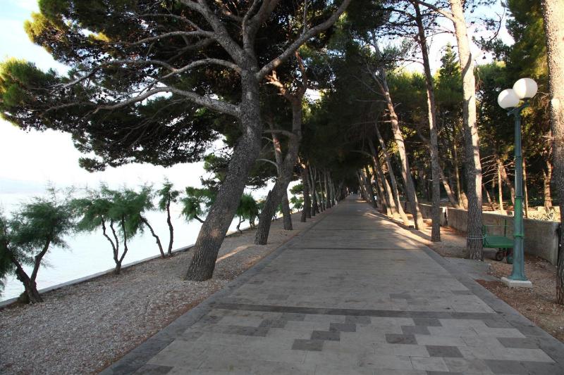 Stunning Bol Villa 4 Bedrooms Villa Zlatni Rat Stunning Location - image 35