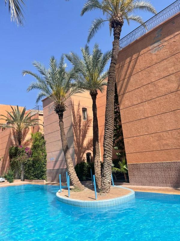 Riad Sahraoui - image 8