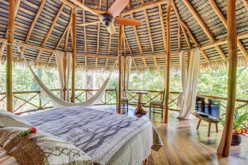 CASA CONTIKI - image 12