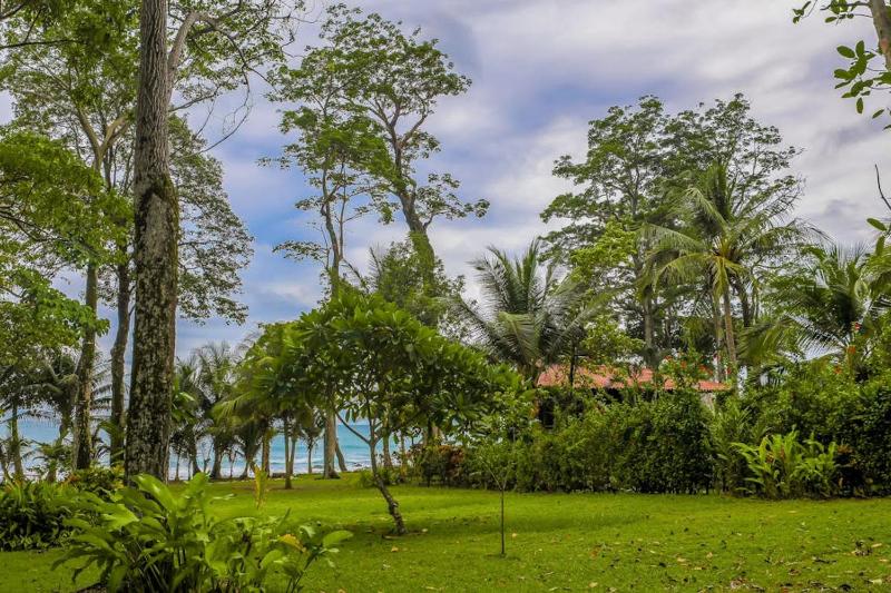 CASA CONTIKI - image 6