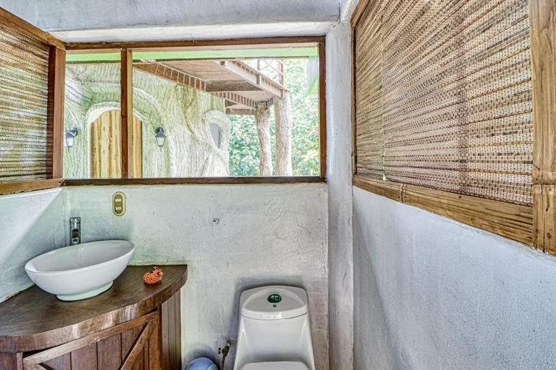 Casa Verde + Contiki - image 12