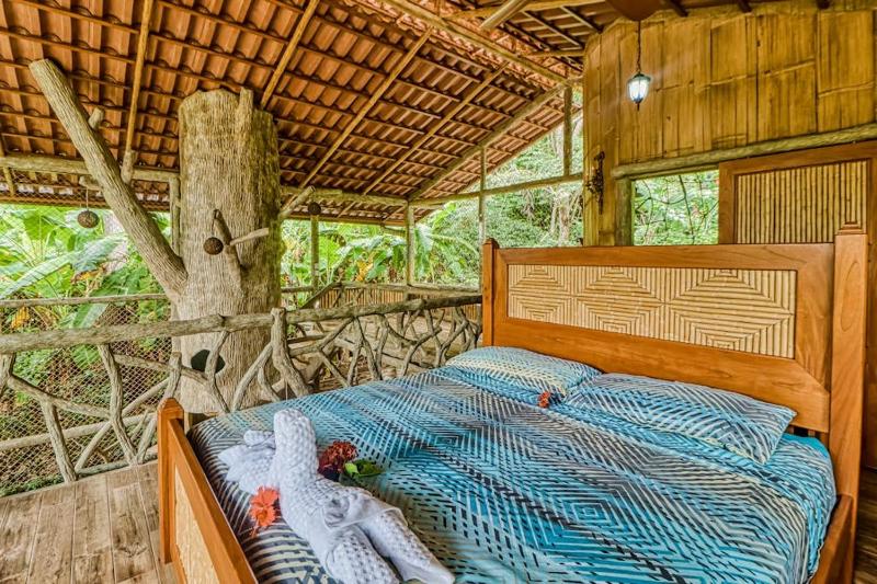 Casa Verde + Contiki - image 7