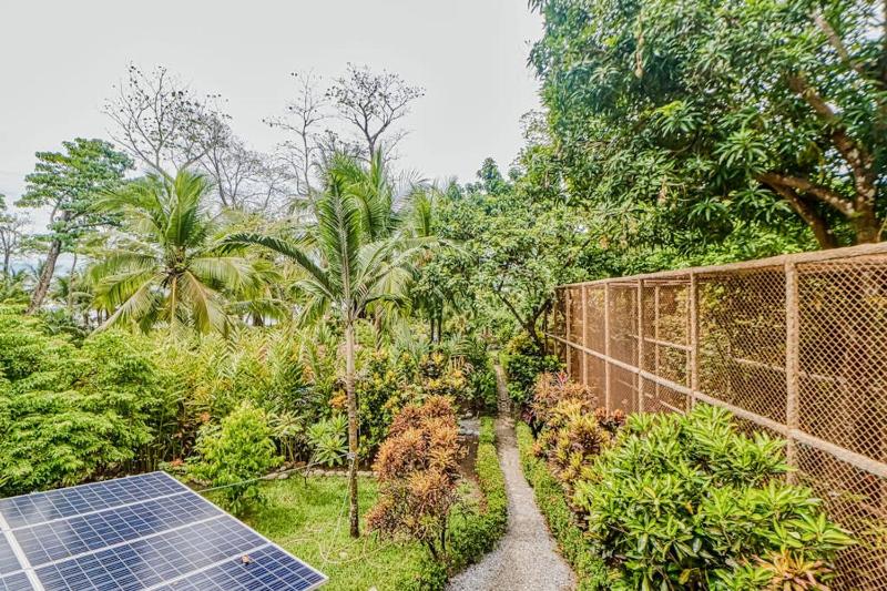 Casa Verde + Contiki - image 14
