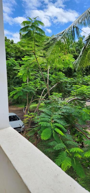 Peaceful One Bedroom House 2-minute walk to Diani Beach - image 16