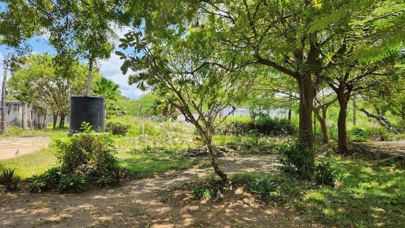 Peaceful One Bedroom House 2-minute walk to Diani Beach - image 7