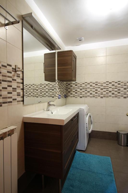 One-Bedroom Apartment image 2