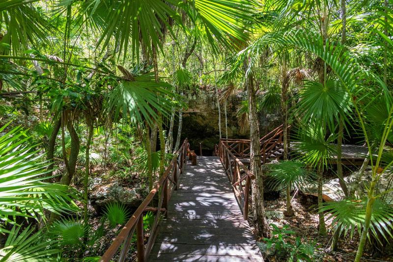 Mayakoba Paradise Pool Jacuzzis & Cenote Access - image 30