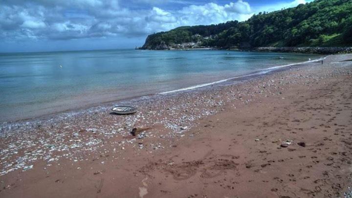 Crowndale Torquay - Exclusively for Adults - image 42