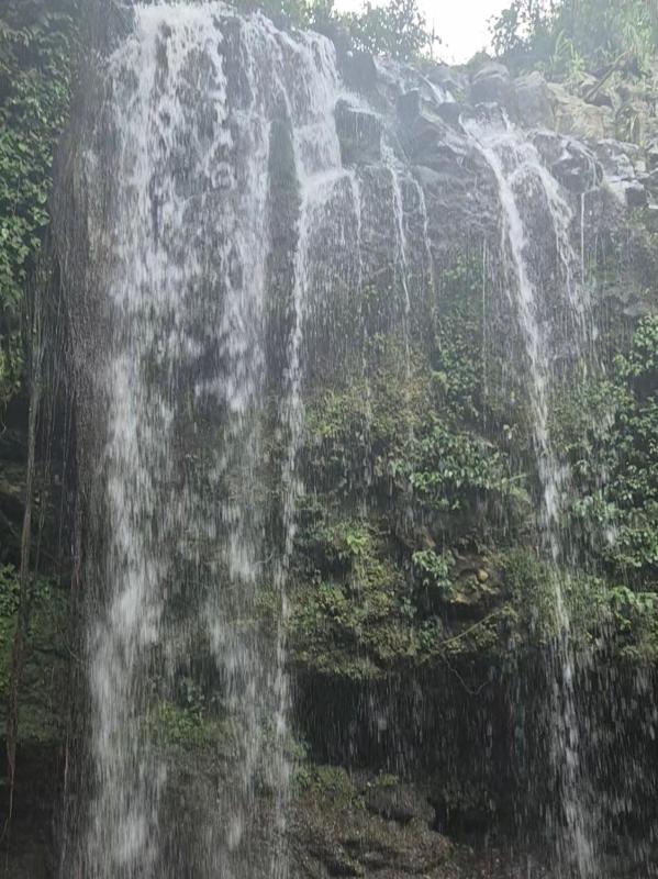 Retreat Yourself RevelaRetreats Costa Rica - image 12