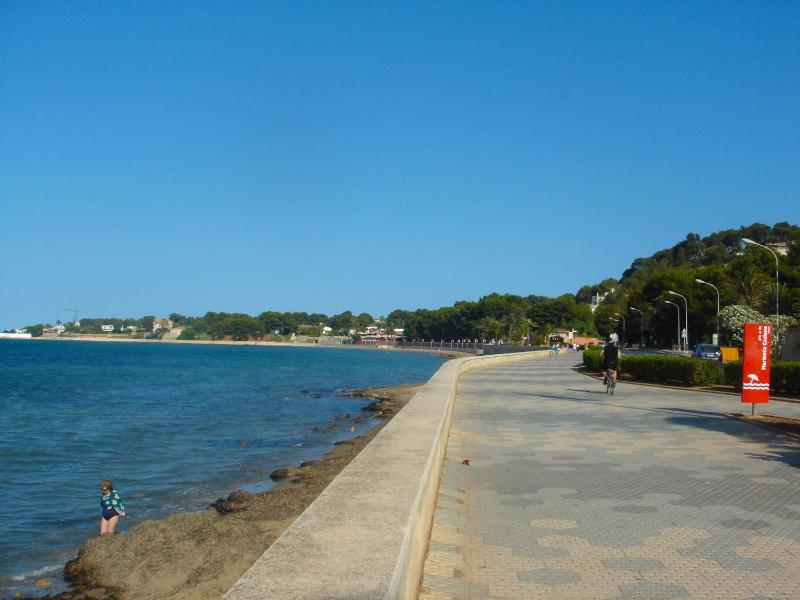 Anacasa Oasis Beach II Marineta AP2116 - image 12
