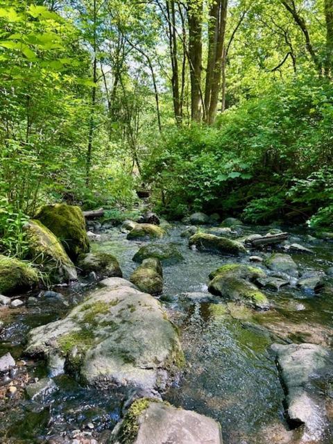 The Creek 3BR EV FirePit BBQ Games Yoga - image 9