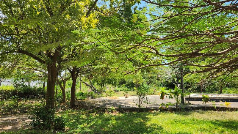 Simba Cottage Super Close to Diani Beach - image 8