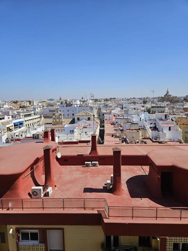 Plaza de la Magdalena I - image 16