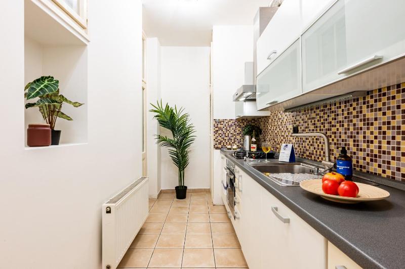Prague Days - Three Bedroom Apartment with AC Desk and 100Mbs WiFi in New Town - image 4