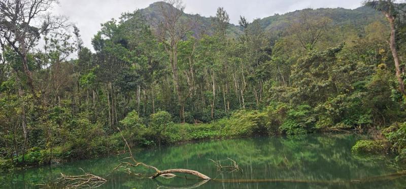 Abani retreat - image 12
