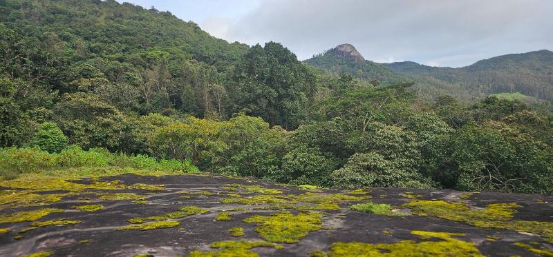 Abani retreat - image 2