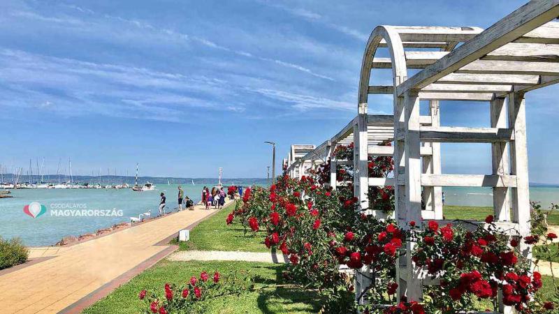 Apartments in Siofok - Balaton 53496 - image 18