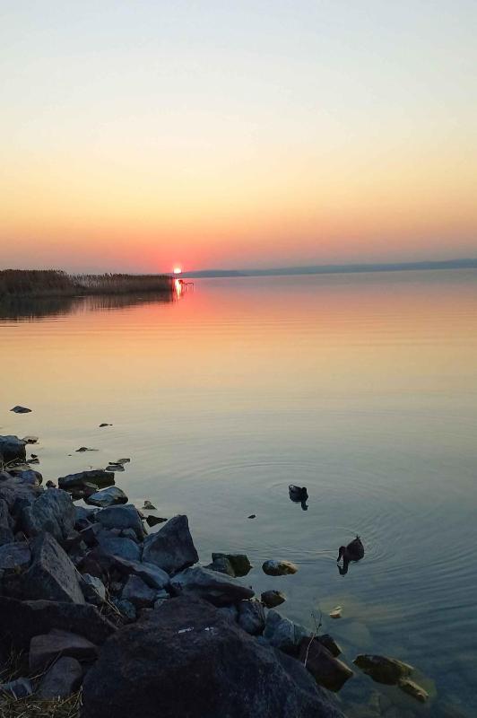Apartments in Siofok - Balaton 53496 - image 5