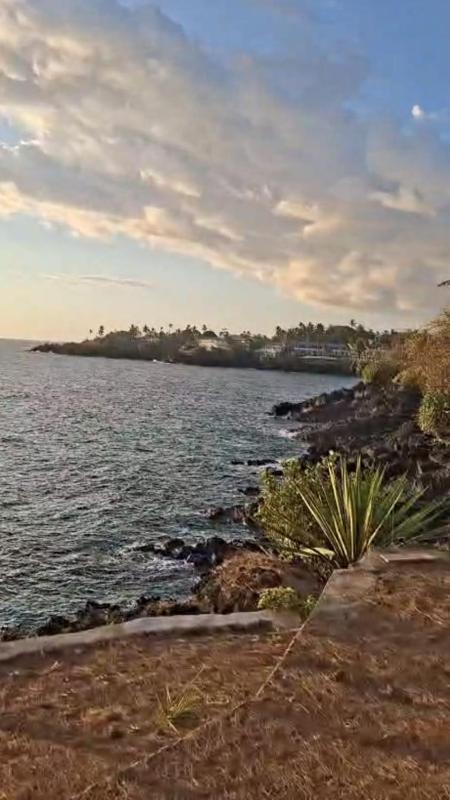 Le Vacoa Bord de Mer - image 12