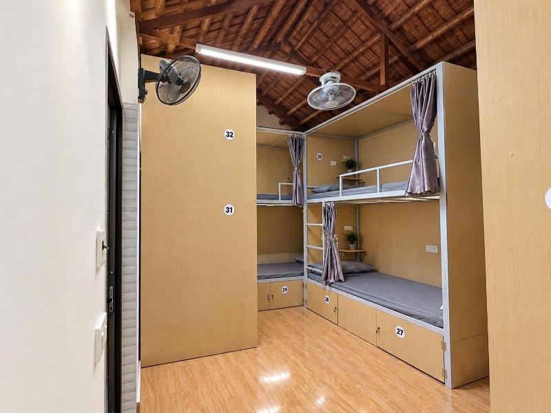 Downtown Backpacker Hostel - image 16