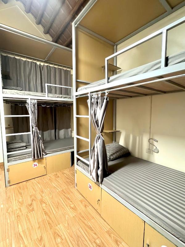 Downtown Backpacker Hostel - image 15