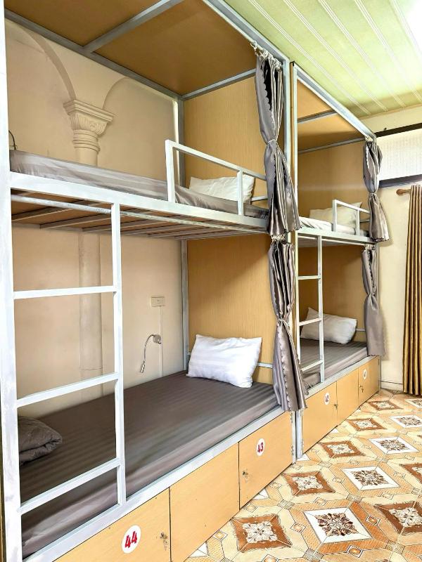 Downtown Backpacker Hostel - image 36