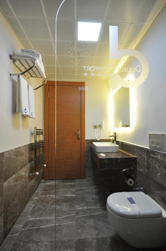 Double Comfort Hotel - image 9
