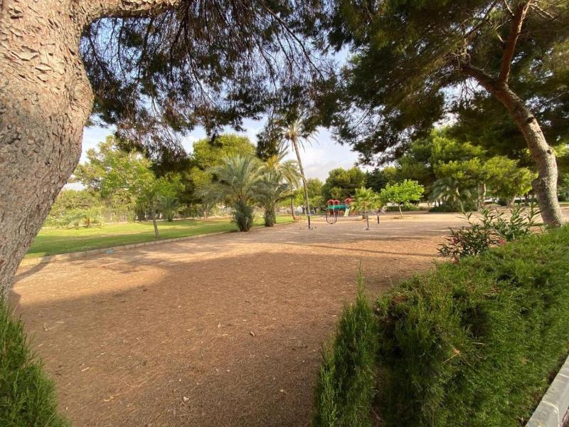 Apartment Pueblecito BR3 La zenia - image 18