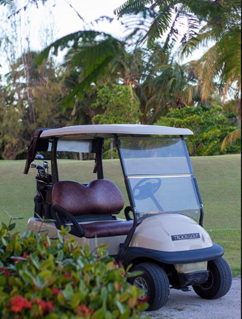 Cocotal Caribbean Retreat Pool Golf & Punta Cana - image 3