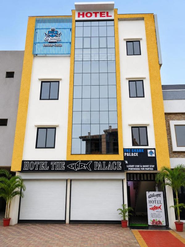 The Shark Palace - image 1