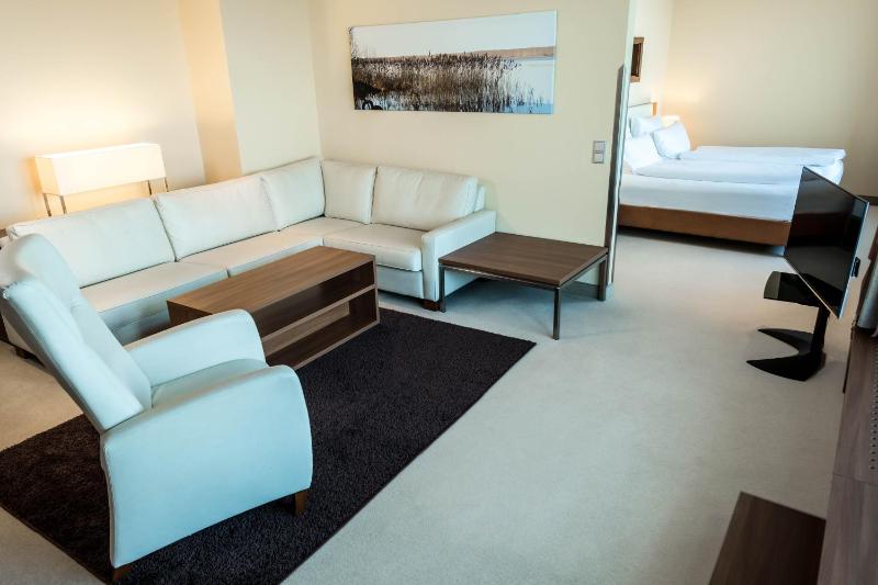 Penthouse Suite with Lake View image 1