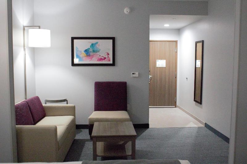King Studio Suite - Non-Smoking image 4