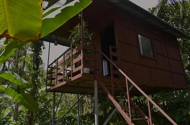 Ambalavayal Home stay hut Risort Rooms - image 21