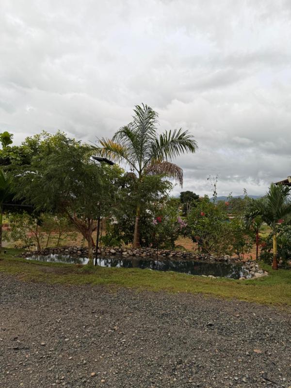 Villa con dos habitaciones - image 14