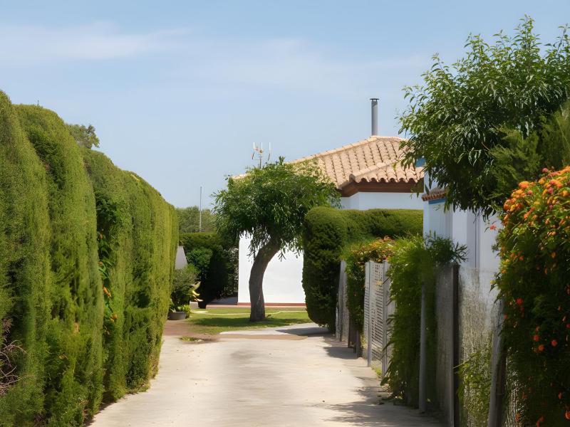 Casa con piscina privada en el palmar jardin parking privado cerca de la playa - image 2